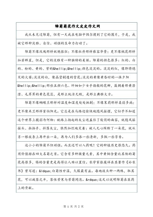 写景作文《雏菊》