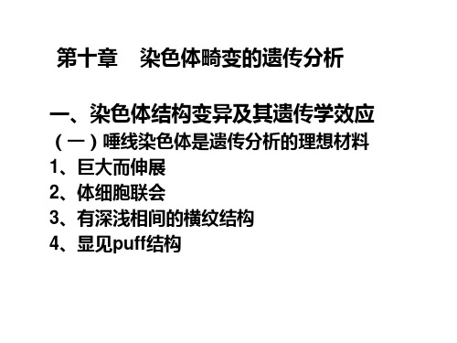 遗传学第十章染色体畸变的遗传分析PPT课件