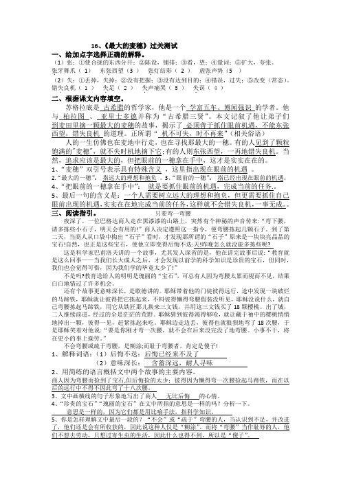 16《最大的麦穗》过关测试答案