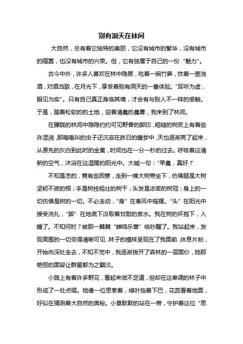 初三作文：别有洞天在林间作文800字