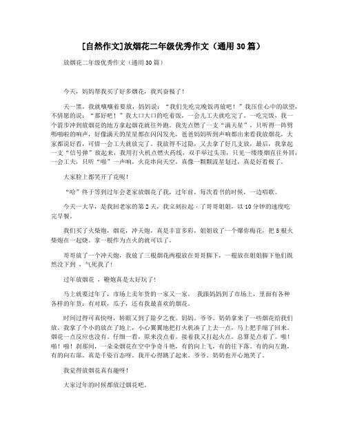 [自然作文]放烟花二年级优秀作文(通用30篇)