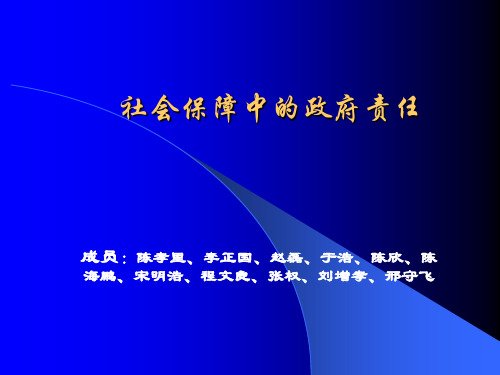 8社会保障中的政府责任