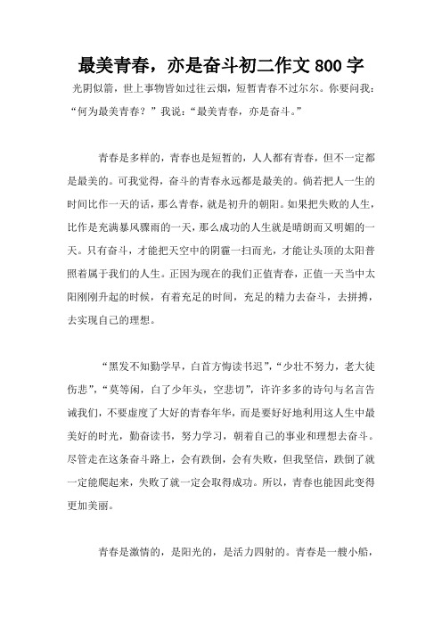 最美青春,亦是奋斗初二作文800字