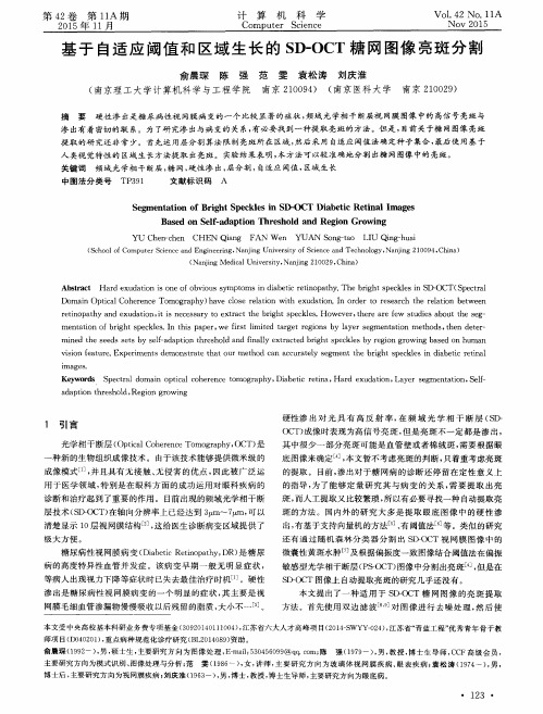 基于自适应阈值和区域生长的SD-OCT糖网图像亮斑分割