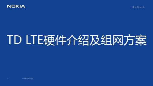 TD LTE硬件介绍及组网方案V3