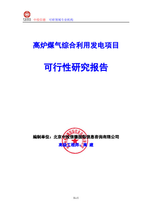 高炉煤气综合利用发电项目可行性研究报告编写格式及参考(模板word)