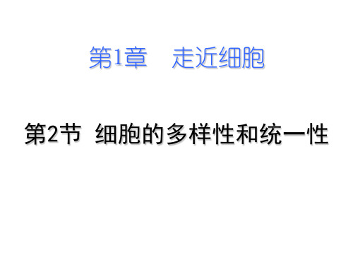 人教版高中生物必修一课件：第一章第二节 细胞的多样性和统一性(共18张PPT)