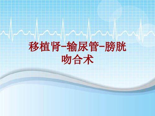 手术讲解模板：移植肾-输尿管-膀胱吻合术
