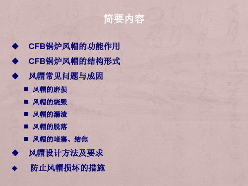 循环流化床锅炉风帽简述