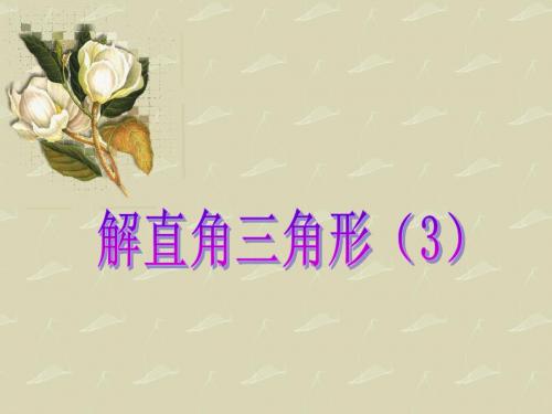 解直角三角形(3)