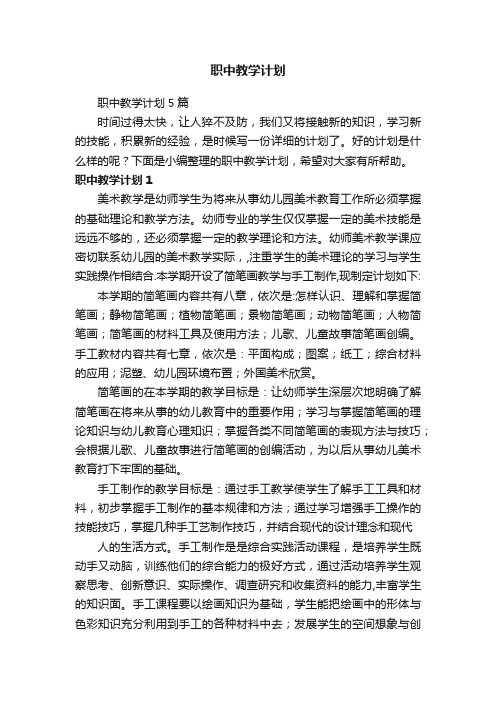 职中教学计划5篇