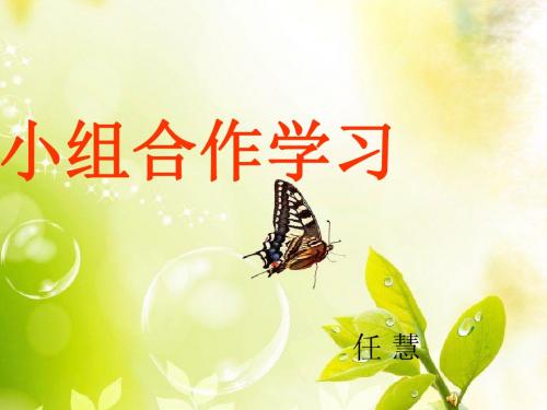 小组合作学习PPT