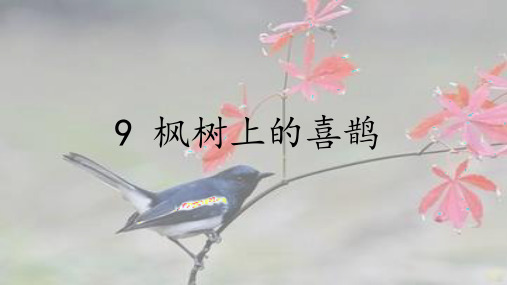 人教部编版 二年级下册语文《9 枫树上的喜鹊 》 (44)