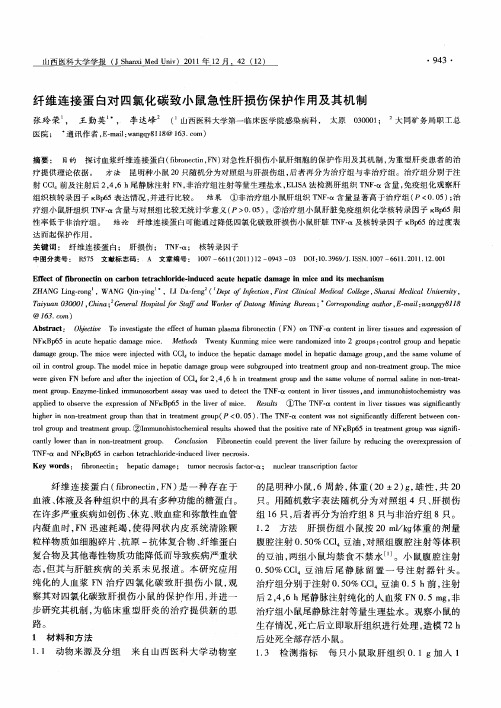 纤维连接蛋白对四氯化碳致小鼠急性肝损伤保护作用及其机制