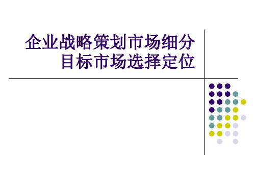 企业战略策划市场细分目标市场选择定位