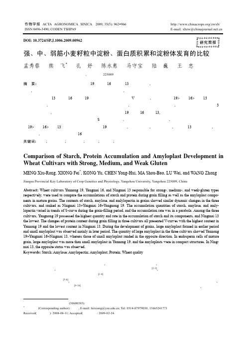 强、中、弱筋小麦籽粒中淀粉、蛋白质积累和淀粉体发育的比较