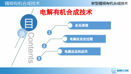 精细有机合成的理论与技术基础—新型精细有机合成技术(有机合成课件)