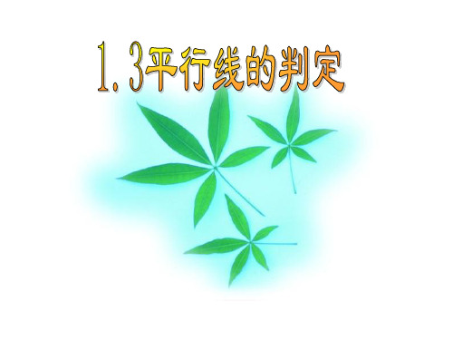 1.3 平行线的判定(共17张ppt)