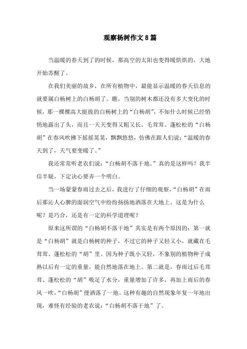 中小学观察杨树作文