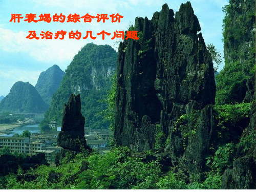 肝衰竭死ppt