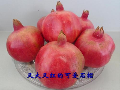 八下  3、石榴_郭沫若