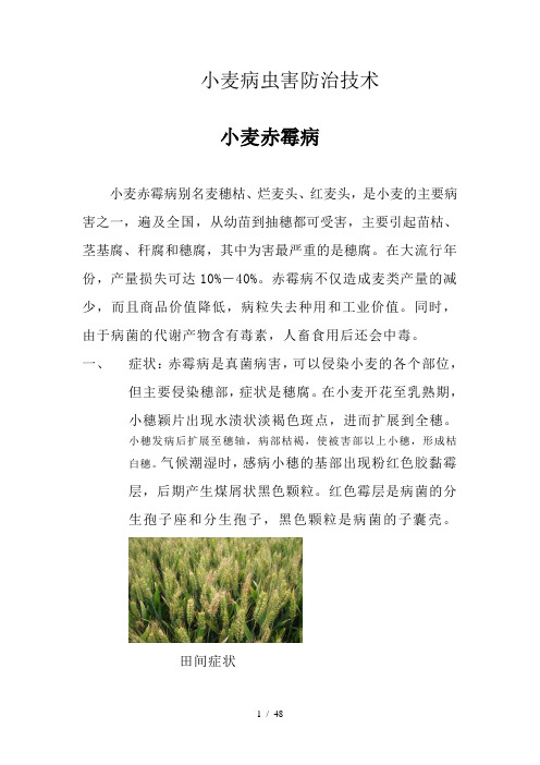 《小麦病虫害防治》word版参考模板