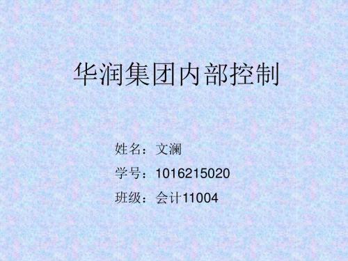 华润集团内部控制课件