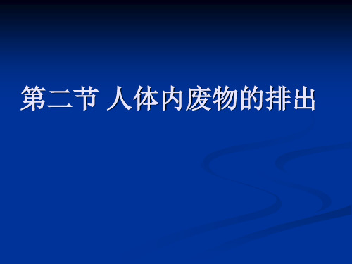 15.2人体内废物的排出 新