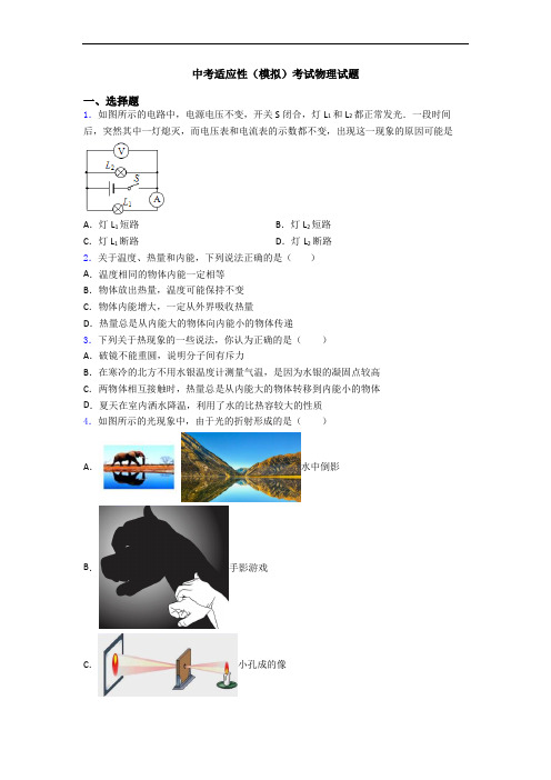 中考适应性(模拟)考试物理试题