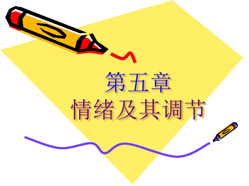 第五章 情绪及其调节 PPT课件
