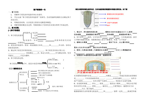 六年级下册第二章被子植物的一生复习学案