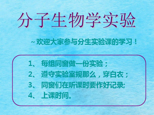 细胞总RNA提取及逆转录ppt课件