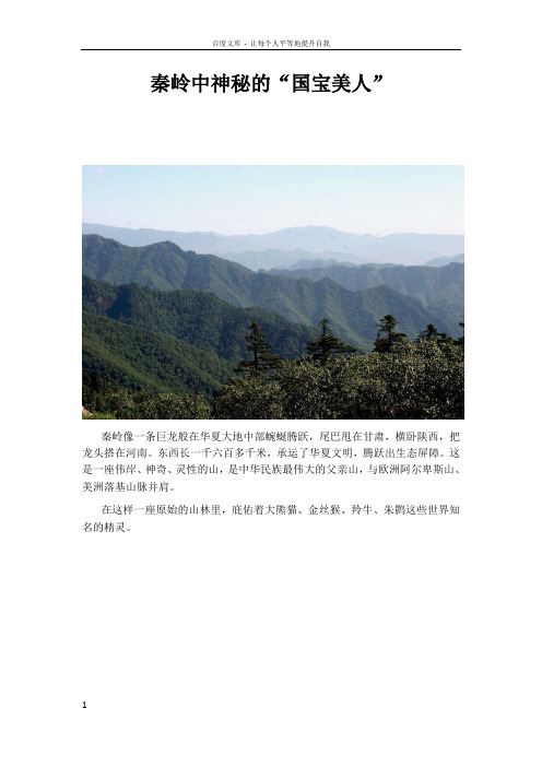 神秘的“秦岭四宝”之大熊猫秦岭亚种