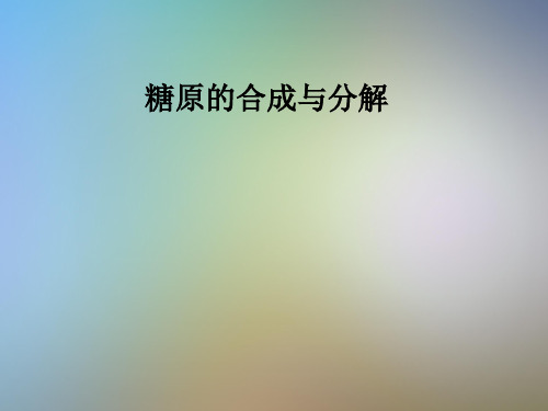 糖原的合成与分解
