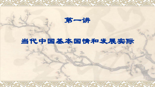 中特课件当代中国的基本国情和发展实际