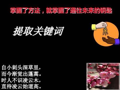 关键词的提取.ppt