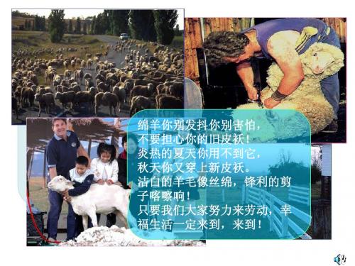 现代化的牧场