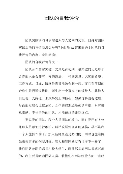 团队的自我评价