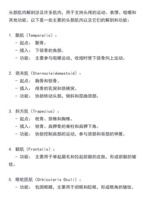 项部肌肉解剖
