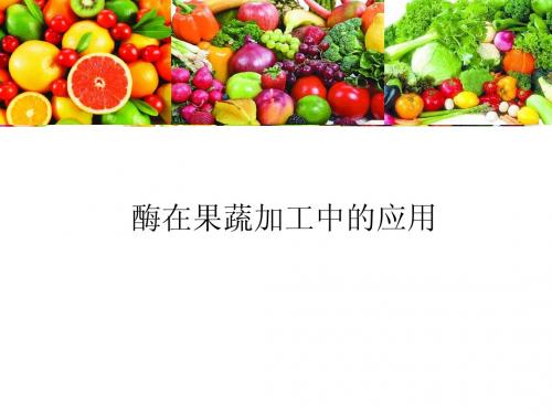酶在食品上的应用