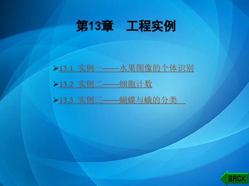 数字图像处理(第二版) 第13章