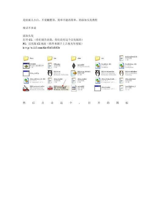 上古卷轴4添加头发、皮肤教程