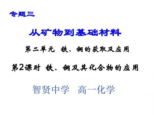 铁、铜及其化合物的应用.ppt
