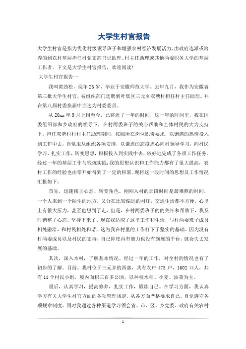 大学生村官报告