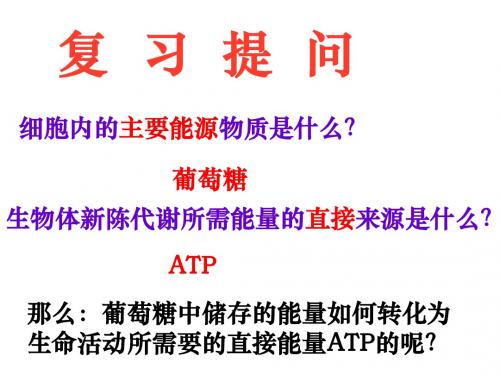 人教版教学课件第3节 ATP的主要来源——细胞呼吸(1)