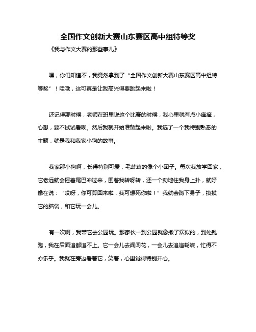 全国作文创新大赛山东赛区高中组特等奖