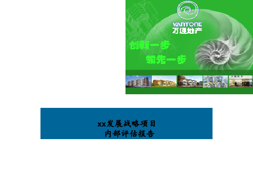 xxx发展战略项目内部评估报告