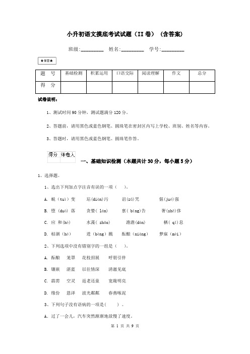 小升初语文摸底考试试题(II卷) (含答案)