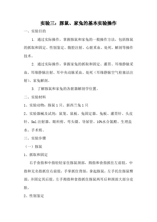 动物实验报告