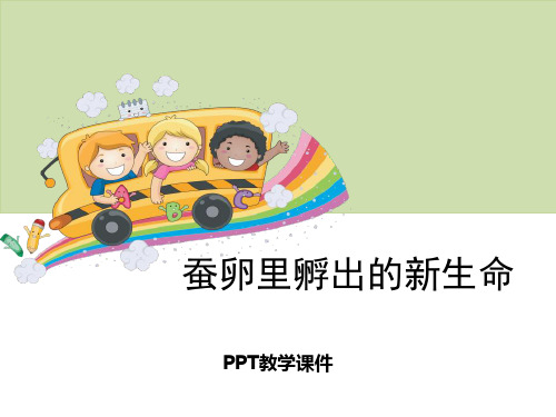 1蚕卵里孵出的新生命PPT课件